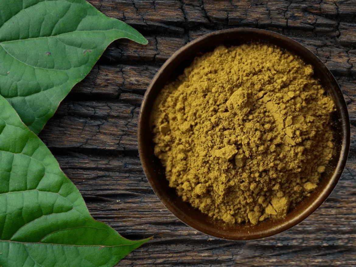 Kratom: The Know-Hows and Health Benefits